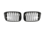 BMW G01 X3 G02 X4 Carbon Fiber Grilles