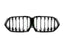 BMW G06 X6 F96 X6M Gloss Black Grilles