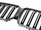 BMW G06 X6 F96 X6M CF Grille Replacement