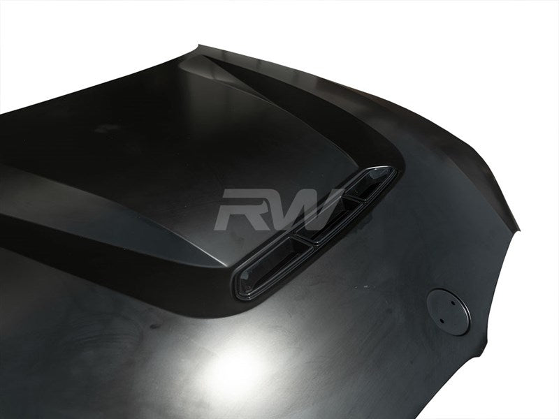 BMW G20 3-Series DTM Aluminum Hood