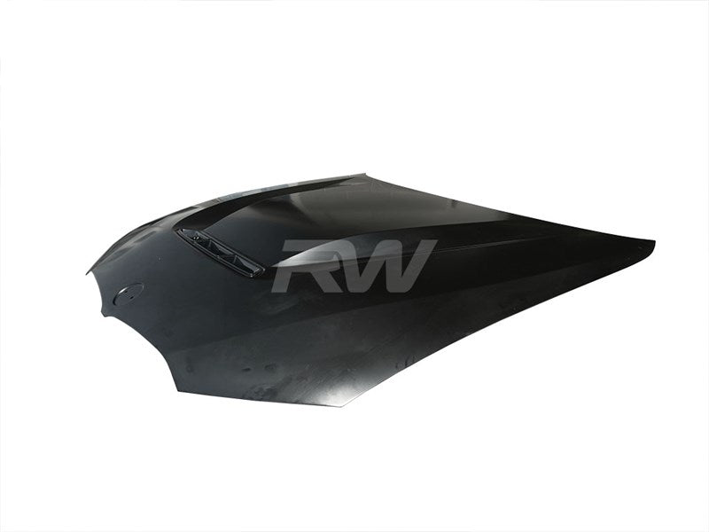 BMW G20 3-Series DTM Aluminum Hood