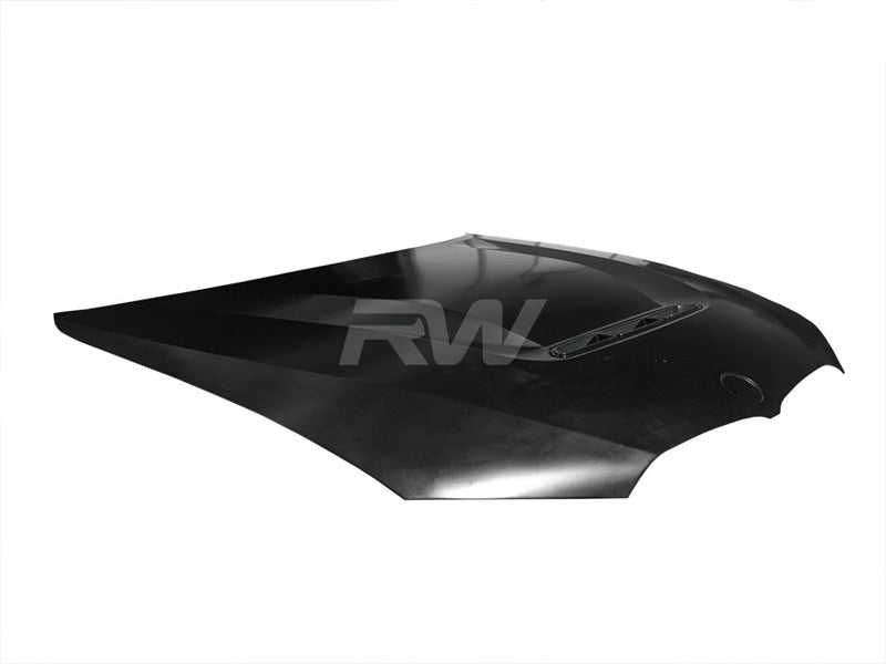 BMW G20 3-Series DTM Aluminum Hood