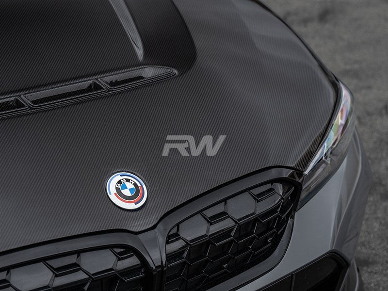 BMW G20 3-Series DTM Carbon Fiber Hood