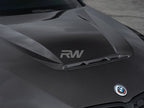 BMW G20 3-Series DTM Carbon Fiber Hood