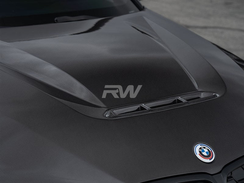 BMW G20 3-Series DTM Carbon Fiber Hood