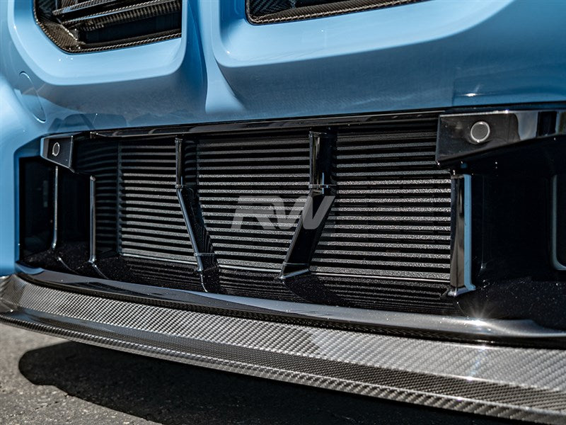 BMW G87 M2 ABS Mesh Lower Grille Guard