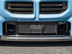 BMW G87 M2 ABS Mesh Lower Grille Guard