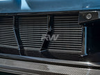 BMW G87 M2 ABS Mesh Lower Grille Guard