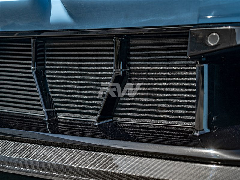 BMW G87 M2 ABS Mesh Lower Grille Guard