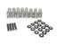 BTR .625" LIFT BEEHIVE VALVE SPRING KIT - .045" THICK LOCATORS - BTR-SK018