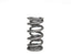 BTR SOLID ROLLER VALVE SPRING - SOLD INDIVIDUALLY - BTRXP1238-1