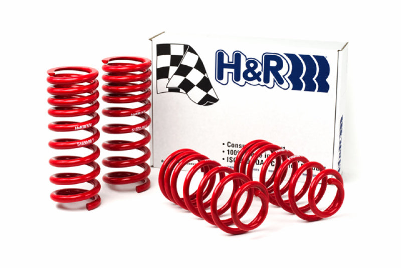 H&R 94-95 Ford Mustang/Mustang Cobra V8 Race Spring Main image
