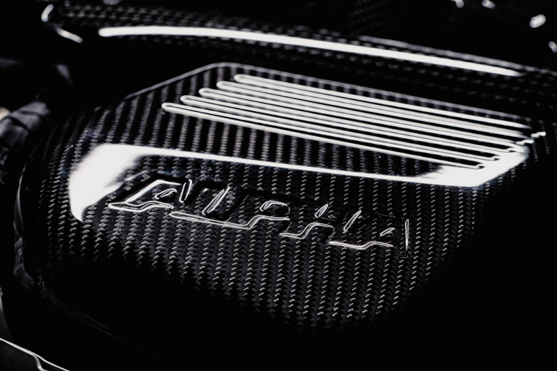 AMS Performance 15-18 BMW M3 / 15-20 BMW M4 w/ S55 3.0L Turbo Engine Carbon Fiber Intake (view 23)