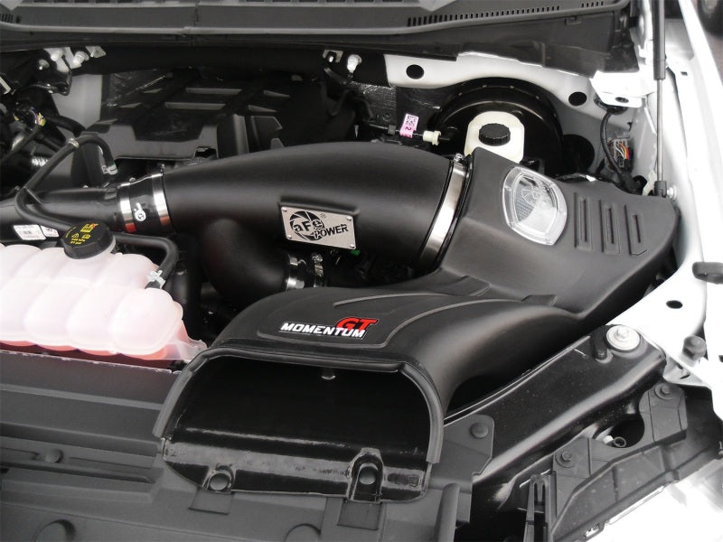 aFe Momentum GT Pro DRY S Intake System 2016 Ford F-150 EcoBoost V6-2.7L/3.5L (tt) (view 2)