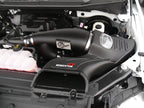 aFe Momentum GT Pro DRY S Intake System 2016 Ford F-150 EcoBoost V6-2.7L/3.5L (tt) (view 2)