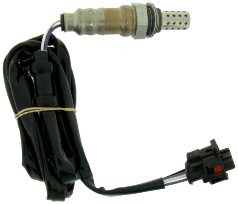 Photo - Primary Main image