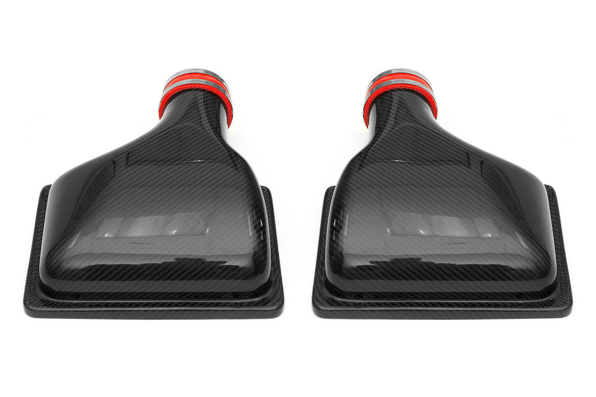 Fabspeed Ferrari 360 Carbon Fiber Airbox Covers (1999-2005)