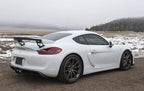 Fabspeed Porsche 981 Cayman GT4 Single-Wall Tips