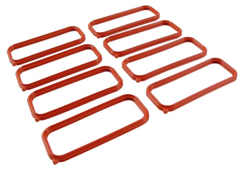 FAST Replacement Intake Port Seals (view 2)