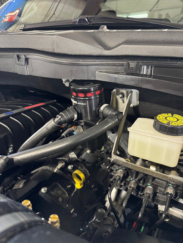 Ecoboost / Raptor F150 mild