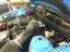 Coyote 5.0 WILD