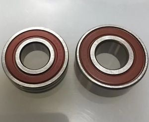 Full Snout Rebuild