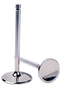 FERREA COMP PLUS VALVES- LS1 - EXH - 1.600" HEAD - 4.915" LENGTH - 8mm STEM - 0.160" TIP LENGTH - RDL GROOVE - F1892P