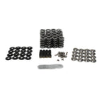 BTR GEN V LT1 PLATINUM DUAL SPRING KIT - .660" LIFT - SK007