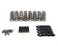 BTR GEN V LT CONICAL SPRING KIT - .650" LIFT - .045" LOCATORS - SK013