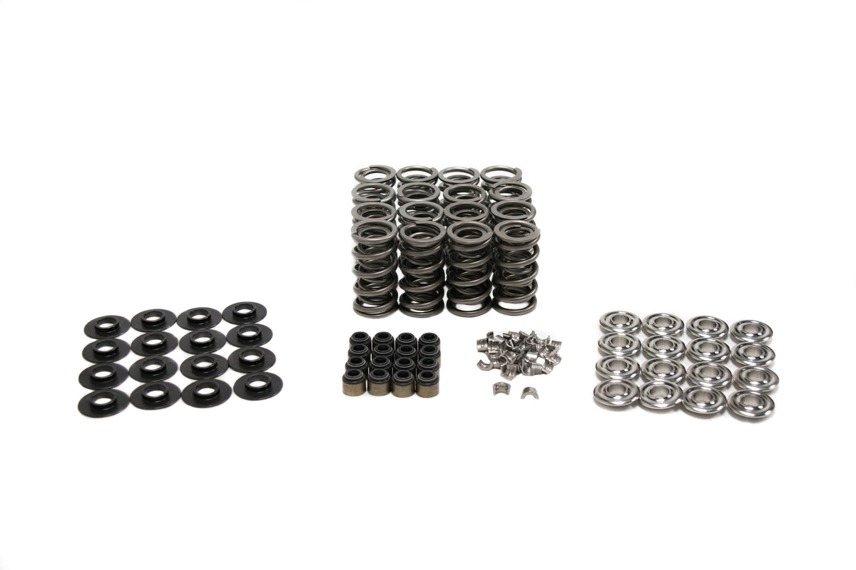 BTR PLATINUM PLUS LS DUAL SPRING KIT - .685" LIFT - SK701 - DART OR RHS VALVE GUIDES - .060 LOCATOR - SK701/2060/BB