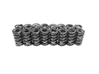 BTR PLATINUM DUAL VALVE SPRINGS - .660 LIFT - 16PC SET - SP001-16