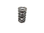BTR PLATINUM DUAL SPRING - .660 LIFT - SOLD INDIVIDUALLY - SP001-1