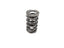 BTR PLATINUM DUAL SPRING - .660 LIFT - SOLD INDIVIDUALLY - SP001-1