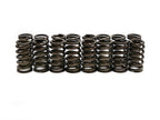 BTR FORD 2V MODULAR SPRING - .550 LIFT - 16 PC KIT - SP005-16