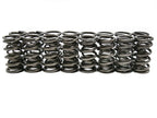 BTR PLATINUM PLUS DUAL SPRING - .685 LIFT - 16 PC KIT - SP010-16