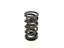 BTR DUAL SPRING - .685 LIFT - SOLD INDIVIDUALLY - SP010-1