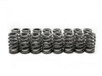 BTR LS6 BEEHIVE SPRING - .560 LIFT - 16 PC KIT - SP011-16