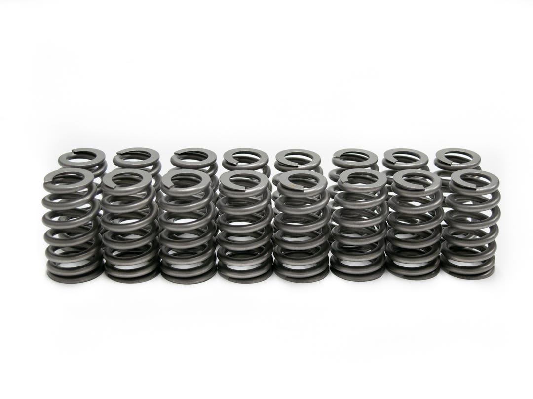 BTR LS6 BEEHIVE SPRING - .560 LIFT - 16 PC KIT - SP011-16