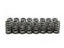 BTR LS6 BEEHIVE SPRING - .560 LIFT - 16 PC KIT - SP011-16