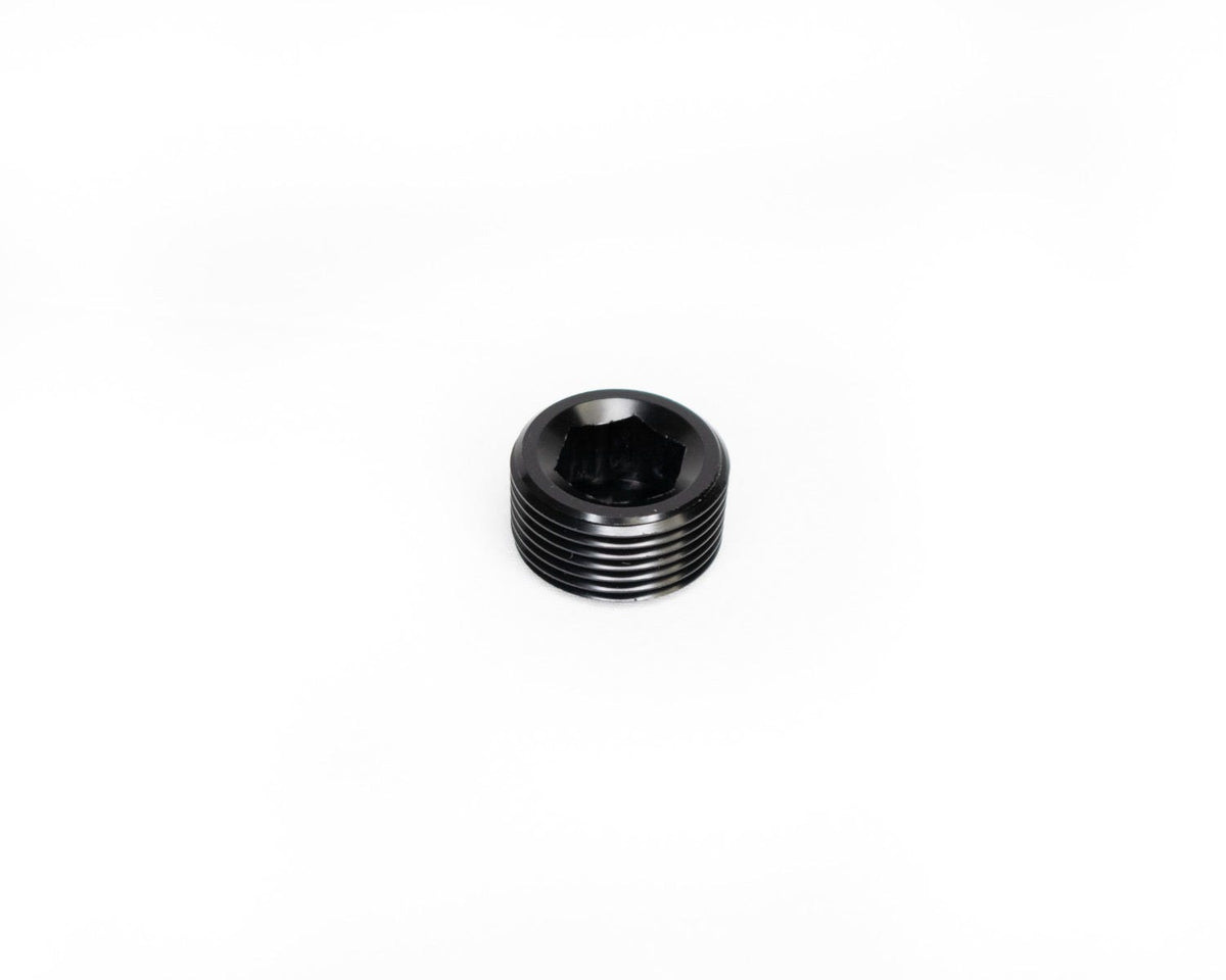 BTR NPT PLUG - 3/4" - BLACK - NPT-PG-3/4