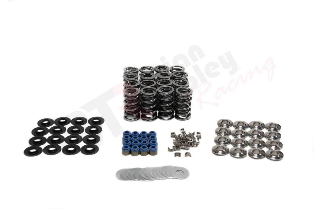 BTR GEN V LT1 PLATINUM DUAL SPRING KIT - .660" LIFT - SK007