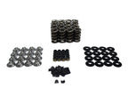 BTR SPRING KIT - SOLID ROLLER LSx - .750" LIFT - SK427