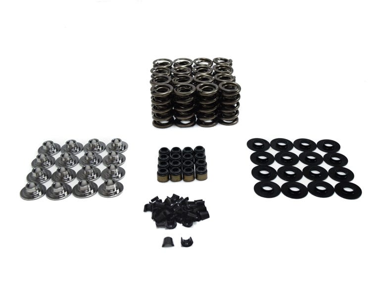 BTR SPRING KIT - SOLID ROLLER LSx - .750" LIFT - SK427