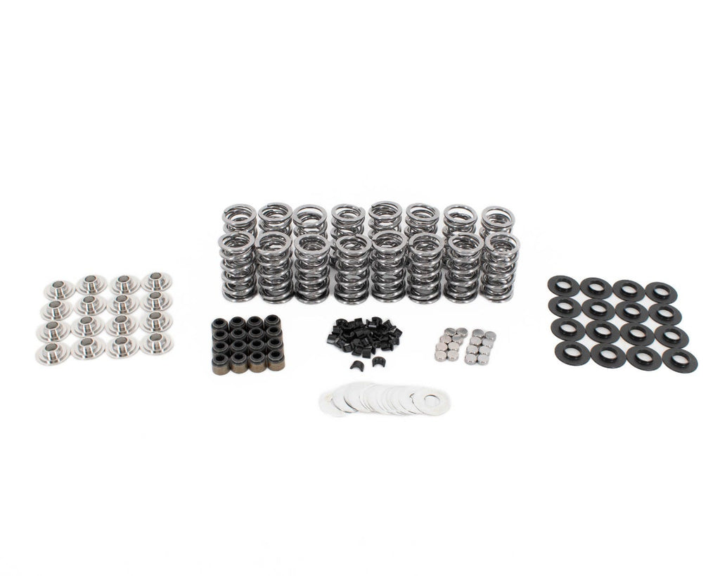 BTR .660" PLATINUM SPRING KIT WITH VALVE TIP SAVERS - BRONZE GUIDES - .060" LOCATORS - BTR-SK001/6560/BB/TS