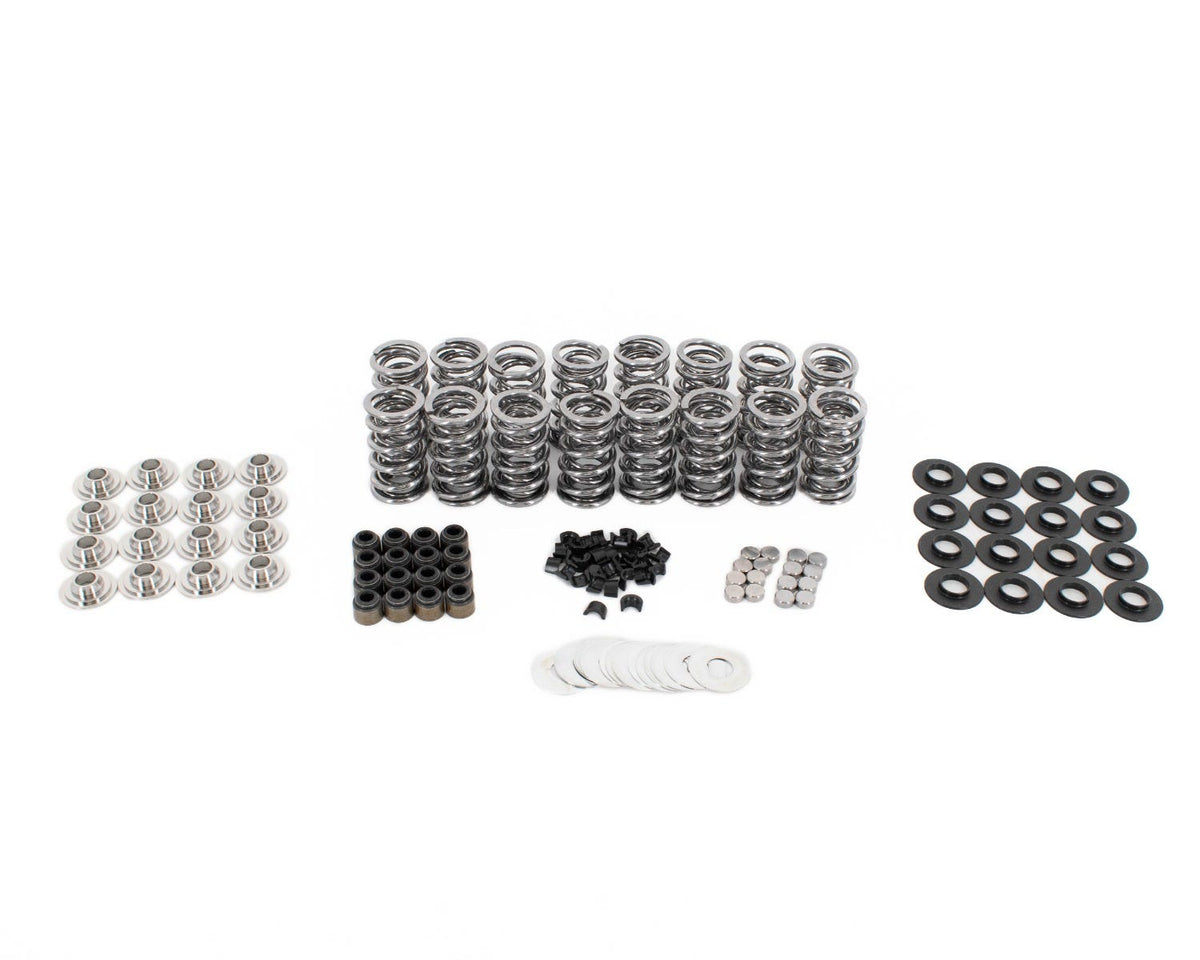 BTR .660" PLATINUM SPRING KIT WITH VALVE TIP SAVERS - BRONZE GUIDES - .060" LOCATORS - BTR-SK001/6560/BB/TS