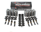 BTR PLATINUM LS DUAL SPRING KIT - .660" LIFT - SK001