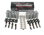 BTR PLATINUM LS DUAL SPRING KIT - .660" LIFT - SK001
