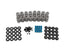BTR MAX PRESSURE SBC DUAL SPRING KIT - .650" LIFT - FOR ROLLER ROCKERS - SK004S