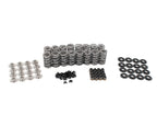 BTR SOLID ROLLER SPRING KIT - .700" LIFT - SK1237
