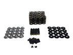 BTR SPRING KIT - SOLID ROLLER LSx - .750" LIFT - SK427